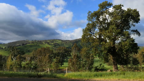 Australia-Murray-River-View-With-Gate